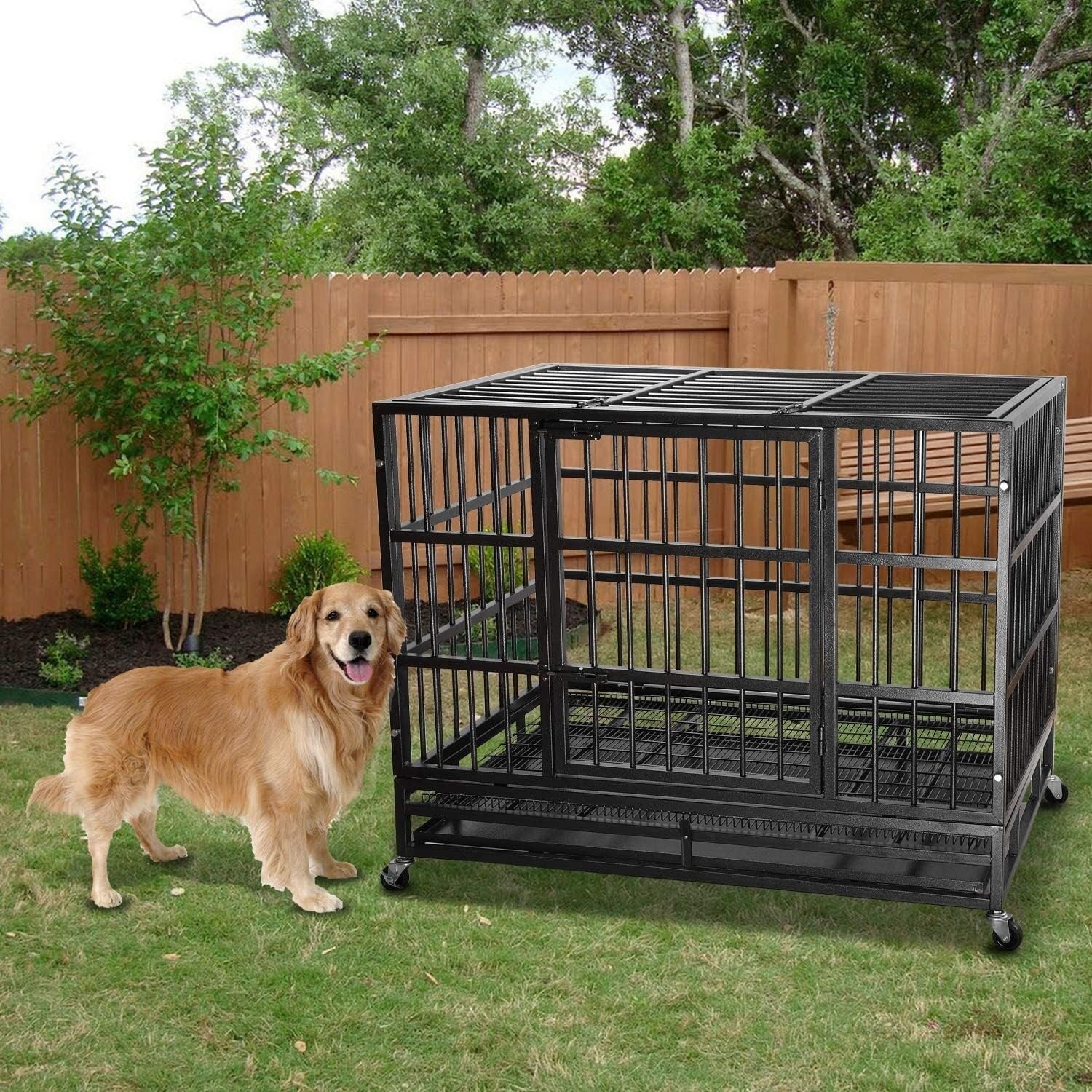Cage pour chien Bossin 48/38 pouces, robuste et indestructible, cage anti-évasion avec roues verrouillables
