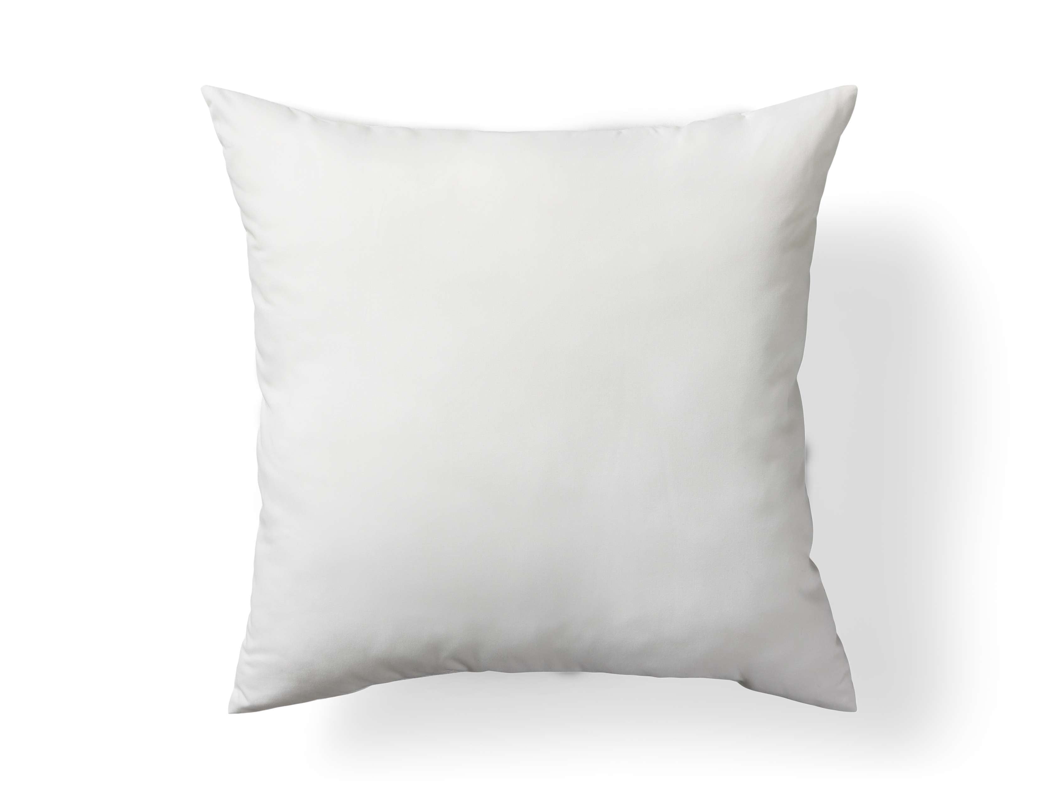 Coussin de sol décoratif