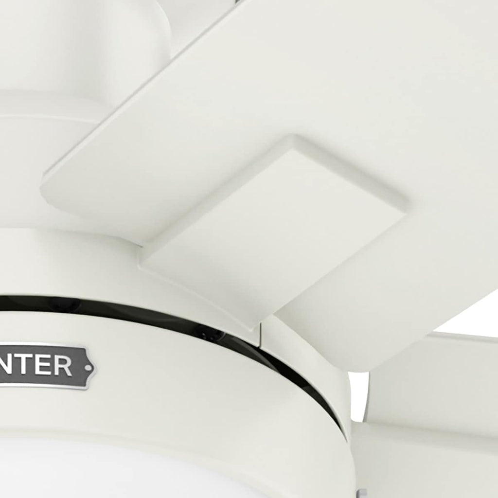 Ventilateur de plafond à profil bas Hunter 52 Anisten avec éclairage LED et chaînette - Moderne, contemporain, transitionnel