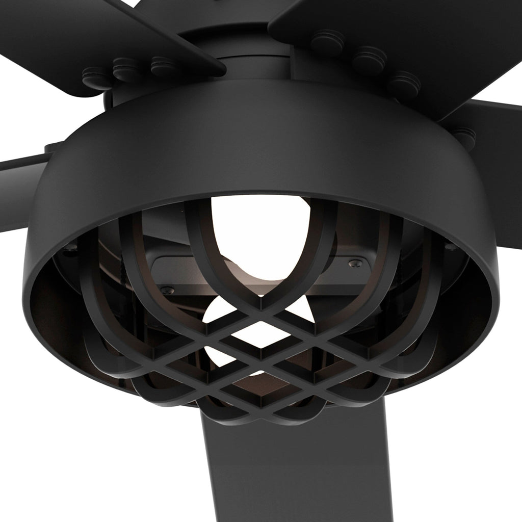 Ventilateur de plafond Hunter 52 Autumn Breeze II, éclairage LED intérieur/extérieur et télécommande portable - Style industriel, transitionnel, moderne, en cage