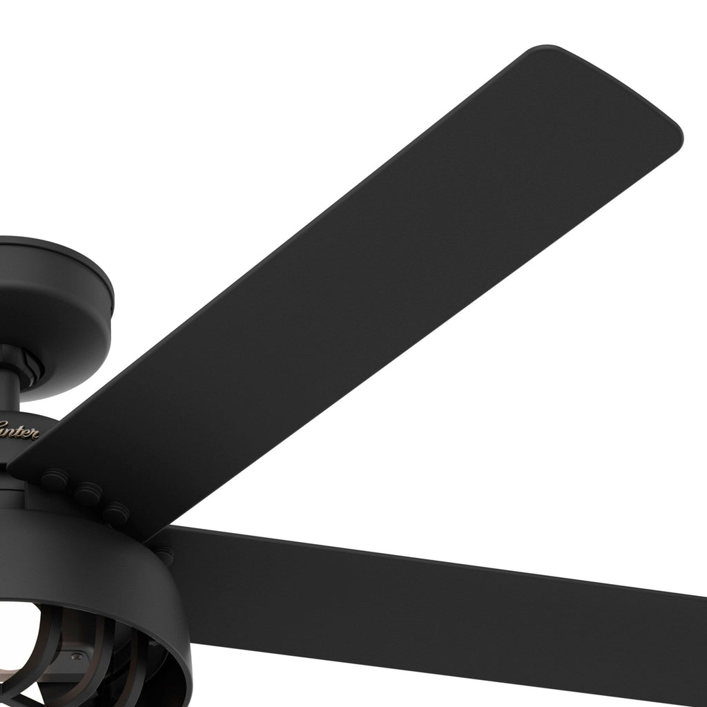 Ventilateur de plafond Hunter 52 Autumn Breeze II, éclairage LED intérieur/extérieur et télécommande portable - Style industriel, transitionnel, moderne, en cage