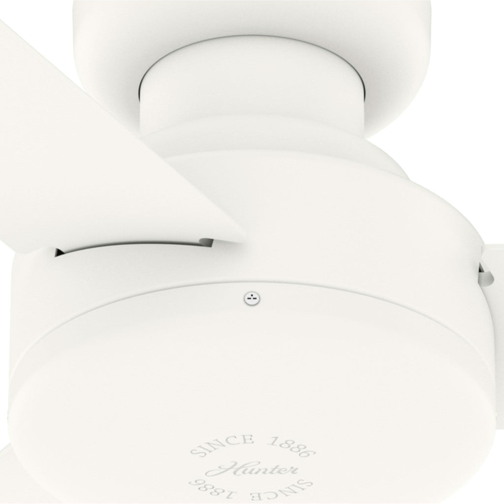 Pergola d'extérieur en acier de 10 pi x 13 pi, auvent de patio avec trous de drainage pour jardin, terrasse de piscine