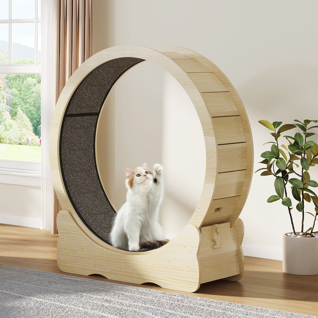 Moasis 43,3 pouces Grand tapis de course en bois pour chat avec roue d'exercice et piste recouverte de moquette