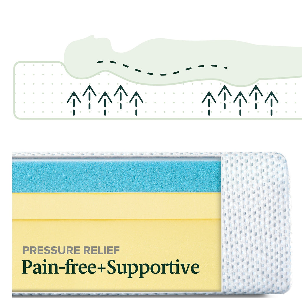 Matelas en mousse à mémoire de forme Priage by Zinus de 8 pouces au thé vert